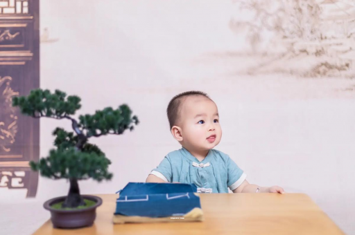 吉林八个月宝宝零食 吉林八个月宝宝零食